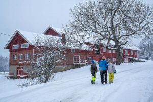 Honerud gård