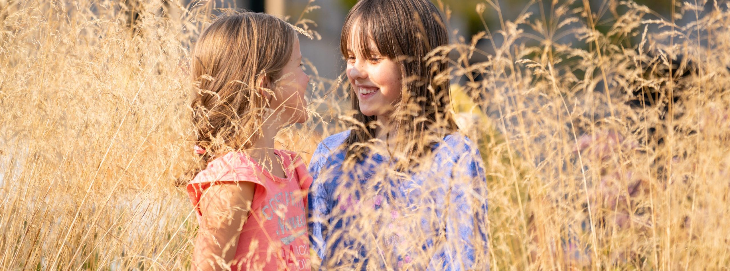 dsc09558 2 scaled e1762526734442