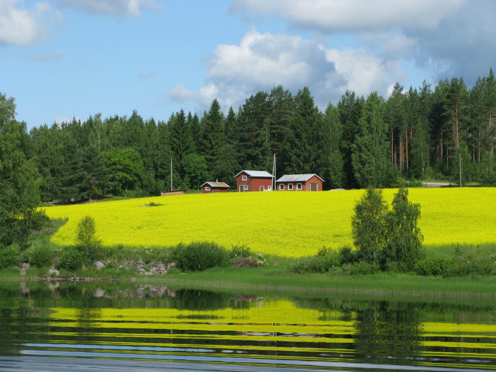 houses trees beautiful grass covered hill by lake captured finland